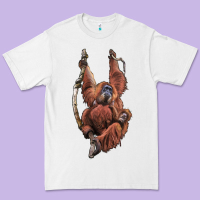 Orangutan And Baby Premium Tee Designed By Lillyallendesigns
