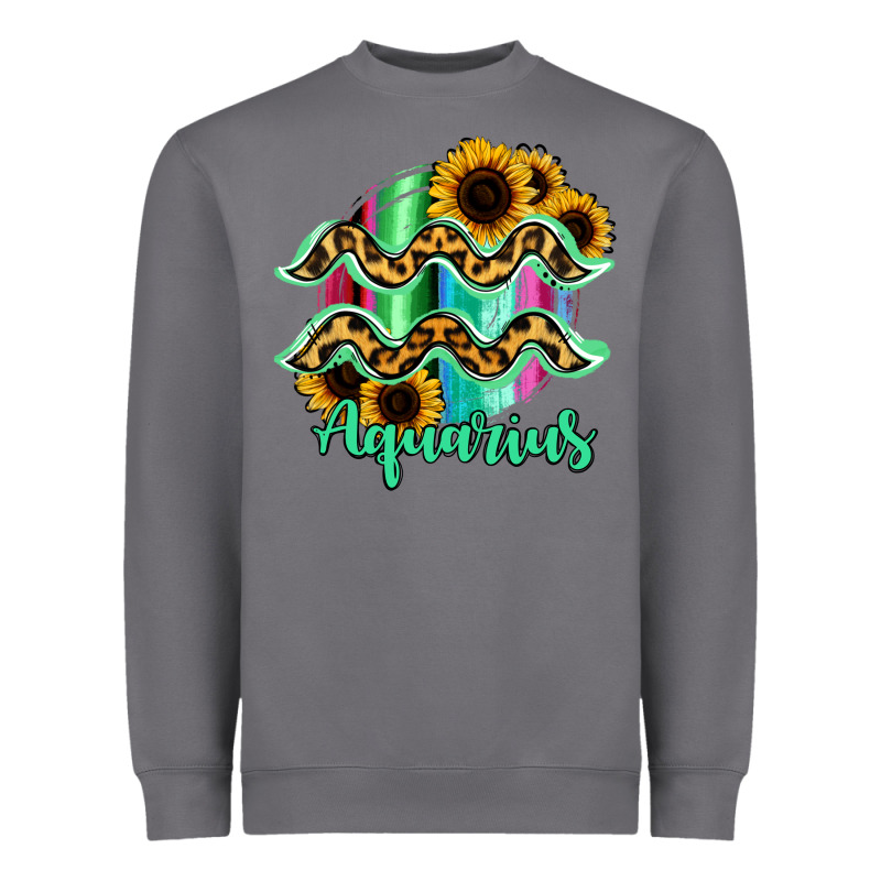 Aquarius Zodiac Heavyweight Sweatshirt by Bettercallsaul | Teevron