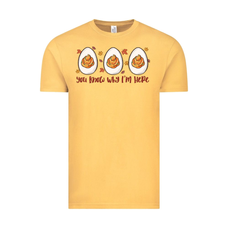 You Know Why I'm Here Vintage Tee by MaliasSmallBusiness | Teevron