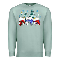 Seafoam dental christmas tree teeth and winter ado Premium Sweatshirt - OliviaCreatesArt