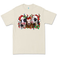 Bone funny christmas heifers Premium Tee - Jasminsmagicworld