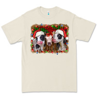 Bone christmas heifers Premium Tee - Jasminsmagicworld