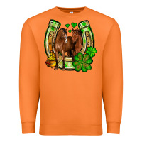 Carrot St. Patrick's Day horse horseshoe Premium Sweatshirt - OliviaCreatesArt