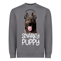 Storm Snarky Puppy Heavyweight Sweatshirt - Bettercallsaul