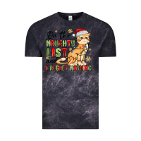Cloud Black on the naughty list and i regret nothing Vintage Tee - MaliasSmallBusiness
