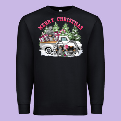Merry Christmas Gnomies Premium Sweatshirt Designed By Fadigitalartstudio