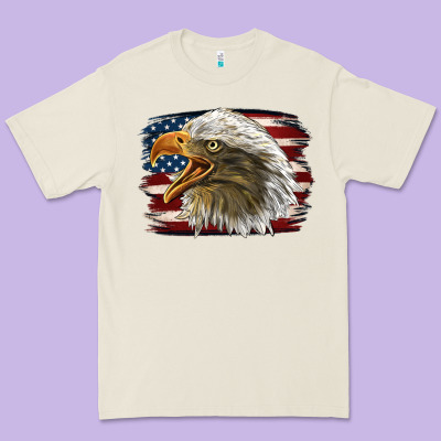 American Flag Eagle Premium Tee Designed By Lillyallendesigns