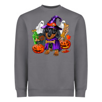 Storm Halloween dachshund puppy dog Heavyweight Sweatshirt - RanaPortraitStore