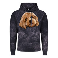 Cloud Black Cockapoo Vintage Hoodie - Jasminsmagicworld