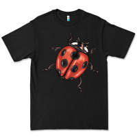 Black ladybug Premium Tee - BarkalooDesign