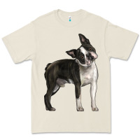 Bone Boston Terrier Premium Tee - LillyAllenDesigns