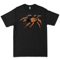 Black Mexican Red Knee Tarantula Premium Tee - LillyAllenDesigns