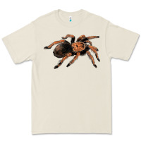 Bone Mexican Red Knee Tarantula Premium Tee - LillyAllenDesigns