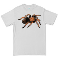Mexican Red Knee Tarantula Premium Tee | Teevron