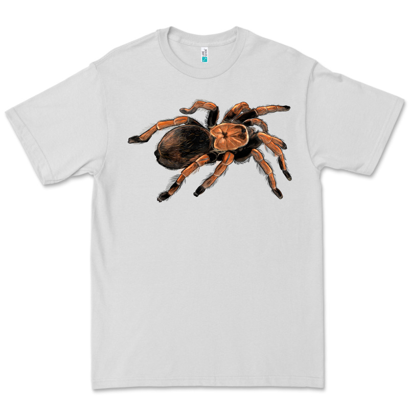Mexican Red Knee Tarantula Premium Tee by LillyAllenDesigns | Teevron