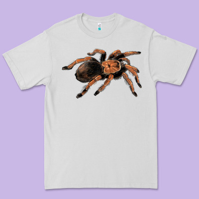 Mexican Red Knee Tarantula Premium Tee Designed By Lillyallendesigns