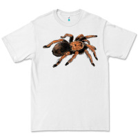White Mexican Red Knee Tarantula Premium Tee - LillyAllenDesigns