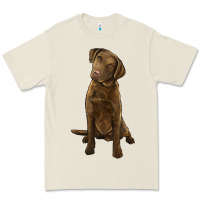 Bone chesapeake bay retriever Premium Tee - LillyAllenDesigns