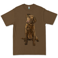 Cacao chesapeake bay retriever Premium Tee - LillyAllenDesigns