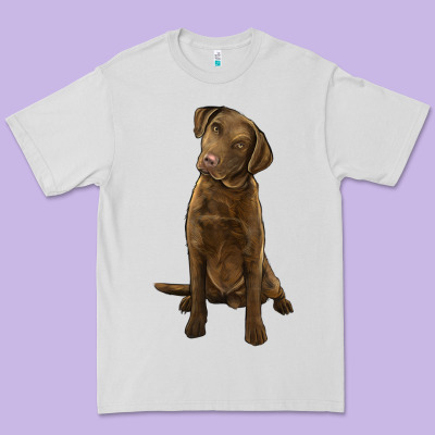Chesapeake Bay Retriever Premium Tee Designed By Lillyallendesigns