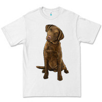 White chesapeake bay retriever Premium Tee - LillyAllenDesigns