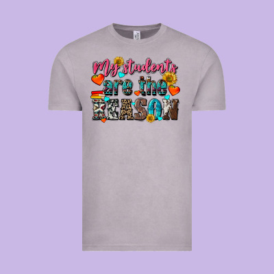My Students Are The Reason Vintage Tee Designed By Nancycooperartshop