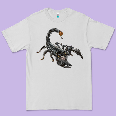 Scorpion Premium Tee Designed By Lillyallendesigns