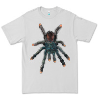 Dove Grey Pink Toe Tarantula Premium Tee - LillyAllenDesigns