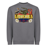Storm louisiana state Heavyweight Sweatshirt - BarkalooDesign