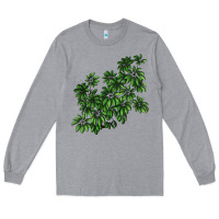 Heather Grey Botanical Schefflera Illustrations Long Sleeve Tee - LillyAllenDesigns