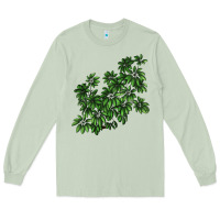 Matcha Botanical Schefflera Illustrations Long Sleeve Tee - LillyAllenDesigns