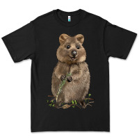Black Quokka Premium Tee - LillyAllenDesigns