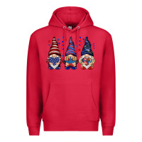 Cardinal 4th Of July gnomies with stars Premium Hoodie - HowdyJamesFarm
