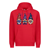 4th Of July Gnomies With Stars Premium Hoodie | Teevron
