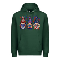 Sports Green 4th Of July gnomies with stars Premium Hoodie - HowdyJamesFarm