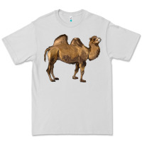 Dove Grey Camel Premium Tee - LillyAllenDesigns