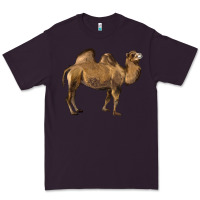 Plum Camel Premium Tee - LillyAllenDesigns