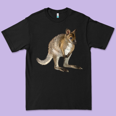 Hand Drawn Wallaby Animal Premium Tee Designed By Lillyallendesigns