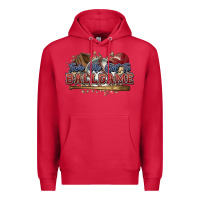 Cardinal Take me out to ball game baseball Premium Hoodie - HowdyJamesFarm