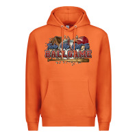 Carrot Take me out to ball game baseball Premium Hoodie - HowdyJamesFarm