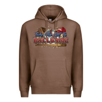 Chestnut Take me out to ball game baseball Premium Hoodie - HowdyJamesFarm