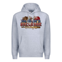 Heather Grey Take me out to ball game baseball Premium Hoodie - HowdyJamesFarm