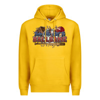 Lemon Take me out to ball game baseball Premium Hoodie - HowdyJamesFarm