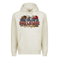 Oatmeal Heather Take me out to ball game baseball Premium Hoodie - HowdyJamesFarm