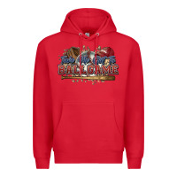 Red Take me out to ball game baseball Premium Hoodie - HowdyJamesFarm