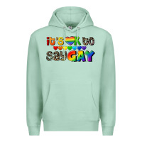 It's Okay To Say Gay Pride Premium Hoodie | Teevron