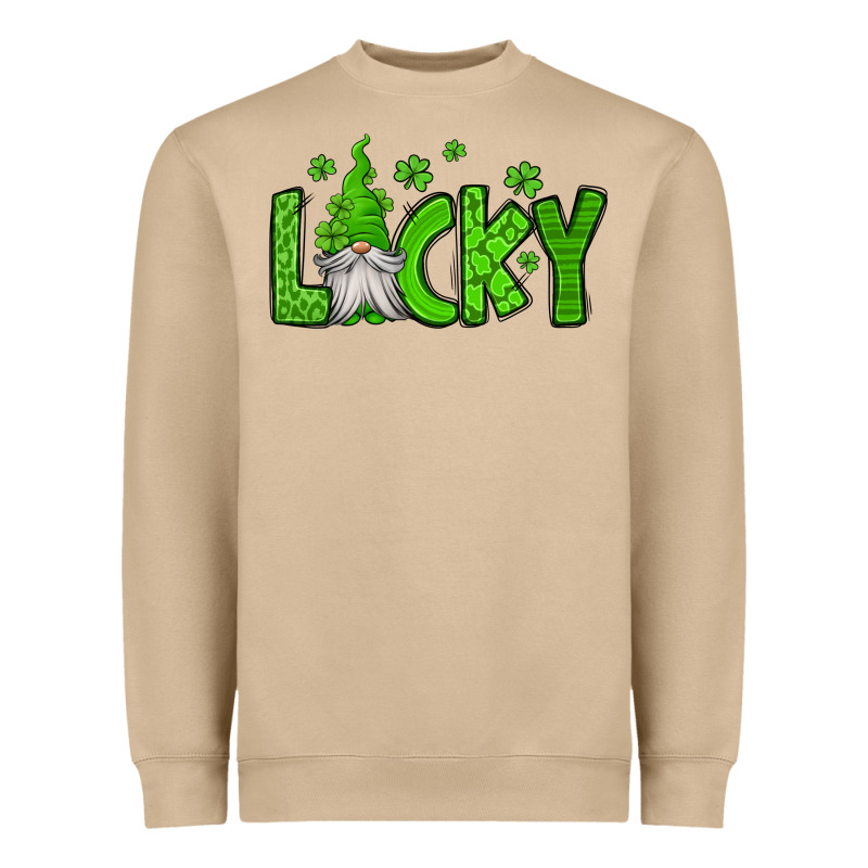 Lucky Gnome St Patricks Day Heavyweight Sweatshirt by Jasminsmagicworld | Teevron