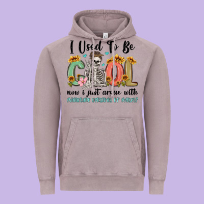 I Used To Be Cool Now I Just Argue With Miniature Vintage Hoodie Designed By Maliassmallbusiness