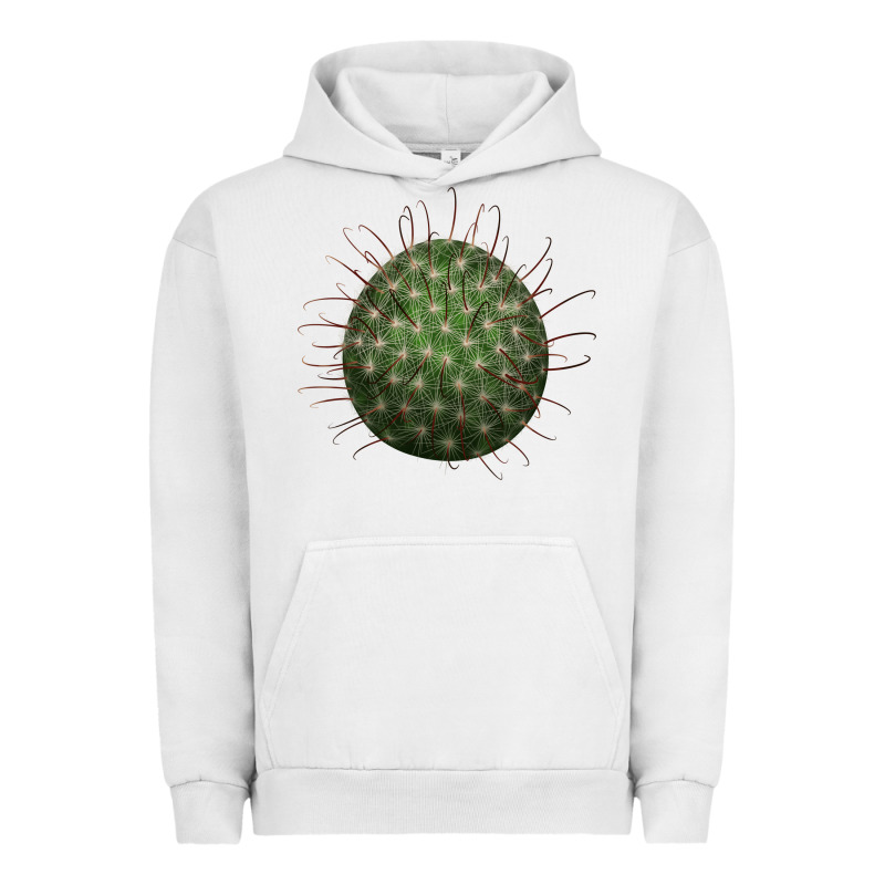 Arizona Fishhook Cactus Urban Hoodie by LillyAllenDesigns | Teevron