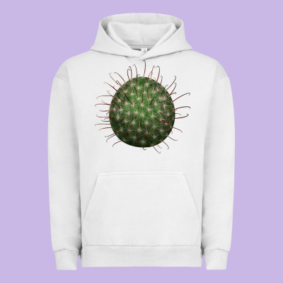 Arizona Fishhook Cactus Urban Hoodie Designed By Lillyallendesigns